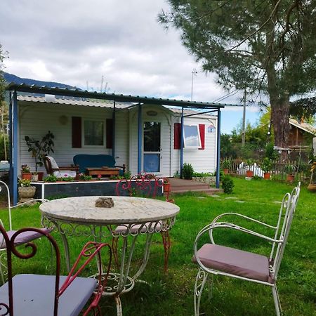 Villa Ardilla La Adrada Esterno foto