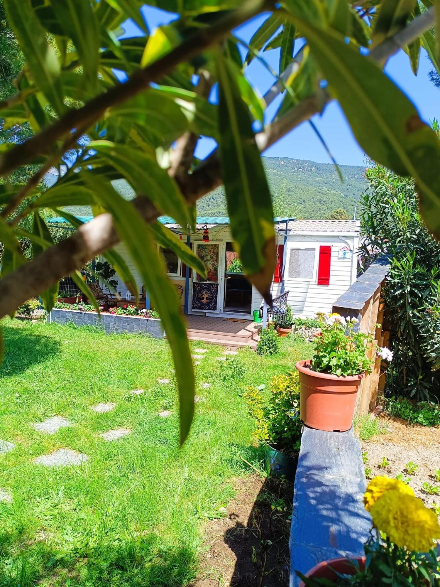 Villa Ardilla La Adrada Esterno foto