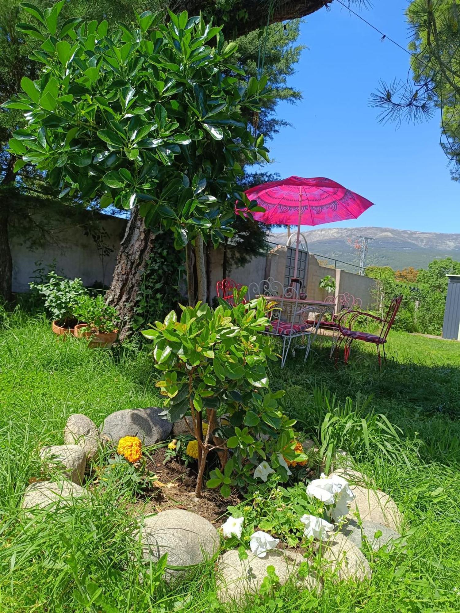 Villa Ardilla La Adrada Esterno foto