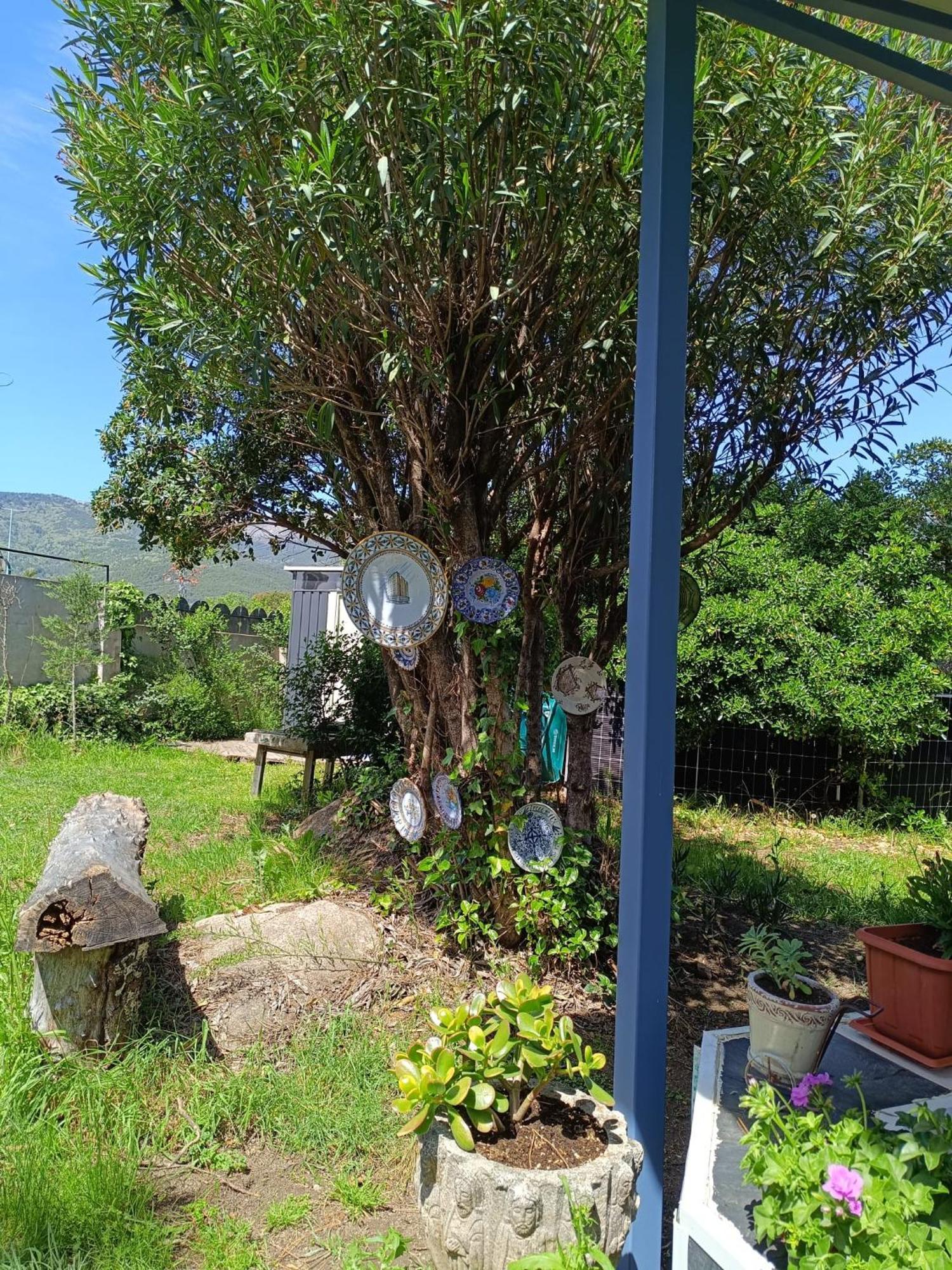Villa Ardilla La Adrada Esterno foto